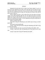 Hoạch định chương trình marketing cho sản phẩm sữa của công ty cổ phần sữa hà nội 