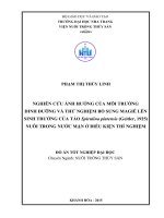 Nghiên cứu ảnh hưởng của môi trường dinh dưỡng và thử nghiệm bổ sung magiê lên sinh trưởng của tảo spirulina platensis (geitler, 1925) nuôi trong nước mặn ở điều kiện thí nghiệm 