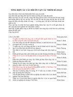 ÔN thi cuối kì kinh tế học chiến lược