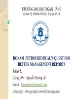 Tiểu luận: Hệ Thống Thông Tin Quản lý ảnh hường như thế nào.