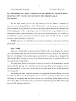 ĐẶC TÍNH CHỐNG OXI HÓA CỦA REMAXCOL, REAMBERIN (1) (2)