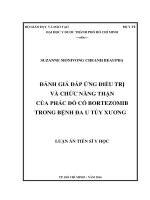 Đánh giá đáp ứng điều trị và chức năng thận của phác đồ có bortezomib trong bệnh đa u tủy xương
