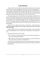 Luận văn hạch toán nguyên vật liệu ở công ty thương mại và dịch vụ kỹ thuật tân thiên hoàng 