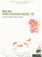 Chiến lược kinh doanh quốc tế  thực tiễn của việt nam, châu á và thế giới  vũ anh dũng pdf 