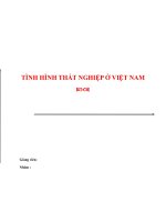 TÌNH HÌNH THẤT NGHIỆP ở VIỆT NAM