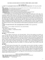 Bai luan mau TN THPT QG 2017