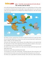 Bé học Tiếng Anh qua truyện: The tortoise and the ducks