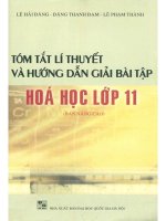 Tóm tắt lý thuyết và hướng dẫn giải bài tập hóa học 11 lê hải đăng 