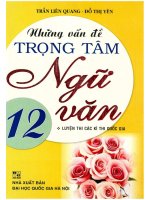 Những vấn đề trọng tâm ngữ văn 12 trần liên quang 