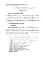 HƯỚNG dẩn VIẾT TIỂU LUẬN ĐỒ án