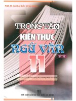 Trọng tâm kiến thức ngữ văn 11 tập 2 lê huy bắc 