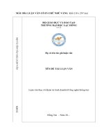 MẪU BÌA LUẬN VĂN CÓ IN CHỮ NHŨ VÀNG  Khổ 210 x 297 mm