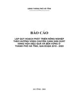 BÁO CÁO LẬP QUY HOẠCH PHÁT TRIỂN NÔNG NGHIỆP THEO HƯỚNG VÙNG CHUYÊN CANH SẢN XUẤT HÀNG HÓA HIỆU QUẢ VÀ BỀN VỮNG Ở THÀNH PHỐ HÀ TĨNH, GIAI ĐOẠN 2010 – 2020