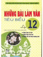 Những bài làm văn tiêu biểu 12 nguyễn xuân lạc 