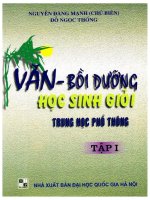 Văn bồi dưỡng học sinh giỏi THPT tập 1   nguyễn đăng mạnh 