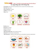 Từ vựng Tiếng Anh về Tết Trung Thu