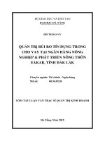 quản trị rủi do tín dụng trong cho vay tại ngân hàng nông nghiệp và phát triển nông thôn ekar tỉnh đaklak