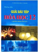 Hướng dẫn giải bài tập hóa học 12 nâng cao trần trung ninh 