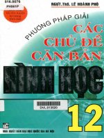 Phương pháp giải các chủ đề căn bản hình học 12 lê hoành phò 