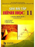 Hướng dẫn giải bài tập hình học 11 chương trình chuẩn nguyễn văn lộc 