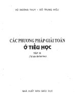 Các phương pháp giải toán ở Tiểu học (Tập 2)
