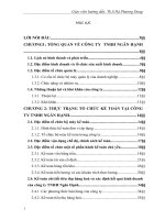 Luận văn kế toán tiêu thụ hàng hoá và xác định kết quả kinh doanh tại công ty TNHH ngân hạnh