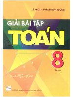 Giải bài tập toán 8 tập 2 lê nhựt 