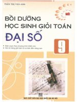 Bồi dưỡng học sinh giỏi toán đại số 9 trần thị vân anh