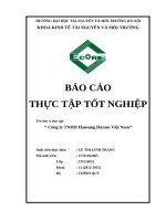 BÁO CÁO THỰC TẬP KẾ TOÁN MÔI TRƯỜNG: Công ty TNHH Hansung Haram Việt Nam