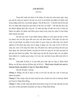 Luận văn hạch toán chi phí sản xuất và tính giá thành sản phẩm ở công ty nhựa hàm rồng 