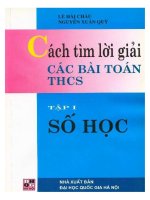 Cách tìm lời giải các bài toán THCS tập 1 số học lê hải châu 