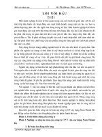 Luận văn kế toán tổng hợp tại công ty CP tư vấn xây dựng nam thành đô 