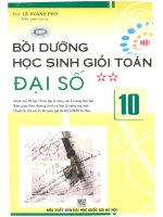 Bồi dưỡng học sinh giỏi toán đại số 10 tập 2 lê hoành phò