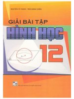 Giải bài tập hình học 12 nguyễn vũ thanh 