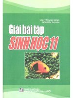 Giải bài tập sinh học 11 nguyễn văn sang 