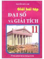 Giải bài tập đại số và giải tích 11 cơ bản nguyễn đức trí 