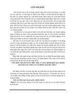 Luận văn tổ chức hạch toán tiêu thụ và xác định kết quả kinh doanh tại công ty CP nguồn việt 