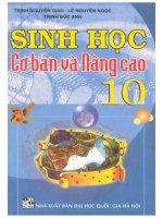 Sinh học cơ bản và nâng cao 10 trịnh nguyên giao 