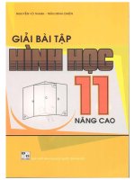 Giải bài tập hình học 11 nâng cao nguyễn vũ thanh