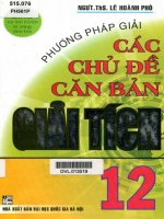 Phương pháp giải các chủ đề căn bản giải tích 12 lê hoành phò 