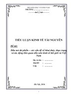 Tiểu luận/Bài tập nhóm - Thực trạng và tác động của dầu khí đá phiến đến thị trường dầu mỏ - Kinh tế tài nguyên