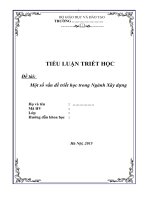 [Tiểu luận cao học môn Triết học] Xây dựng triết học ngành xây dựng cơ bản