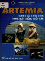 Artemia   nghiên cứu và ứng dụng trong nuôi trồng thủy sản  nguyễn văn hòa và các tác giả khác pdf
