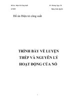 Đồ án điện tử công suất trình bày về luyện thép và nguyên lý hoạt động của nó 