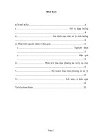 tiểu luận cao học Xử lý vi phạm pháp luật về tài nguyên và môi trường ở xã mỹ hiệp, huyện phù mỹ