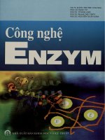 Công nghệ enzym  đặng thị thu và các tác giả khác pdf 