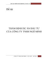 Đề tài thẩm định dự án đầu tư của công ty TNHH ngô minh 