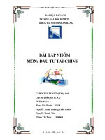 Bài tập nhóm môn đầu tư tài chính 