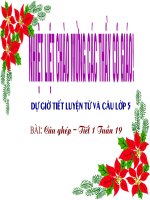 Luyện Từ và câu Cau ghep lớp 5