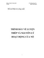 Đồ án điện tử công suất trình bày về luyện thép và nguyên lý hoạt động của nó 